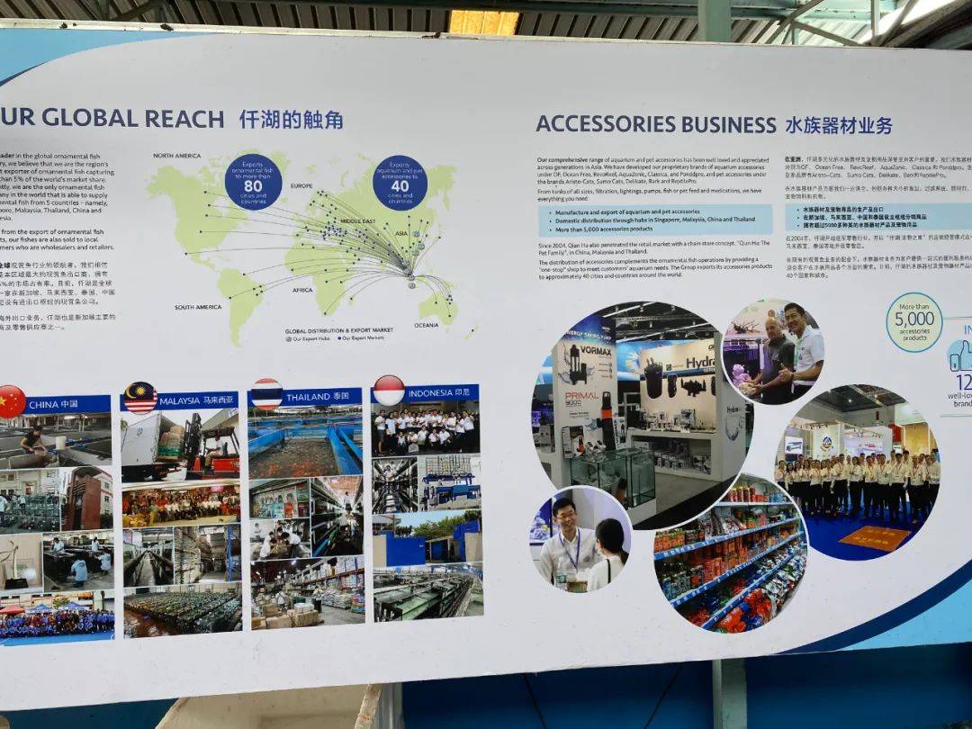 餵羊、擠奶、了解青蛙生長過程,新加坡的農場這麽牛