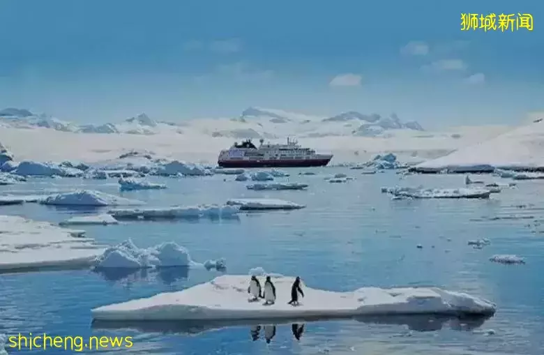 从热辣赤道穿越至冰雪南极是神马体验，新加坡这群人包船玩“冰火”