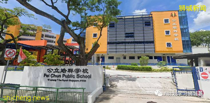 8月19日，新加坡疫情：新增32起，其中本土29起，輸入3起；公立培群學校一名小五生確診