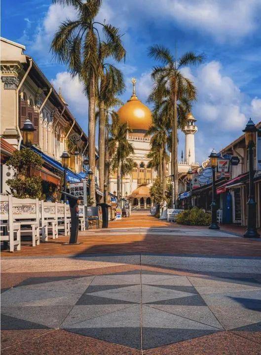 新加坡網民眼中全島最美的打卡樹哪裏找？一起來看看