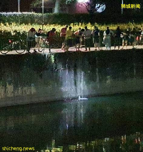 人多力量大!路人协力成功拯救被困河道小猫