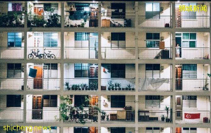 新加坡組屋變“客廳”？有點格局！養雞場、小叢林、毛片場