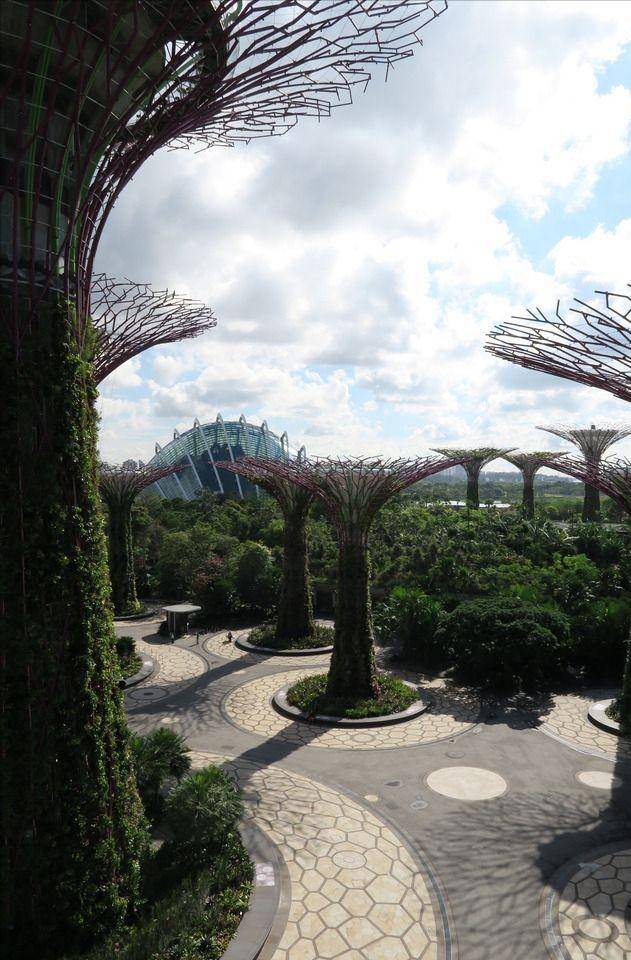 这便是新加坡,亚洲的“阿姆斯特丹”