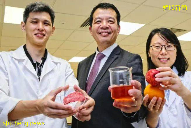 新加坡首创！NTU开设“肉类替代品”新本科课程