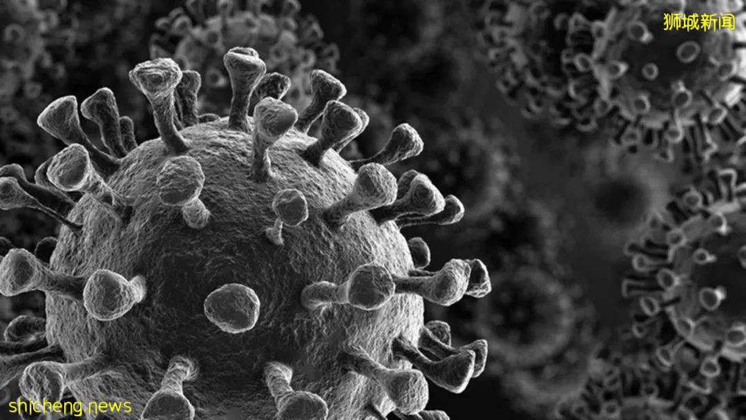 亲身经历!新加坡6个康复者分享:打过疫苗感染新冠不可怕,几乎没感觉