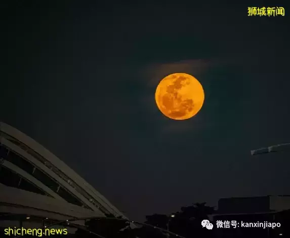 “​草莓月亮”登錄新加坡，今晚8點半以前迎來圓滿時刻