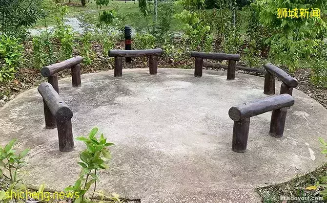 免費！新加坡最適合娃的公園，蝴蝶迷宮、沙灘小灣、瀑布、滑梯秋千