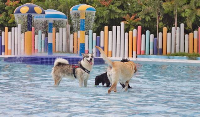 2020新加坡15大室内外热门景点!几乎零花费就能玩到嗨