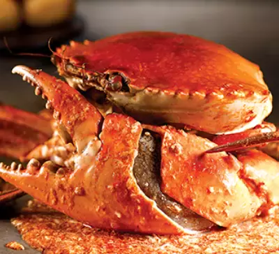 在新加坡也不忘吃年夜饭!美味餐厅大盘点