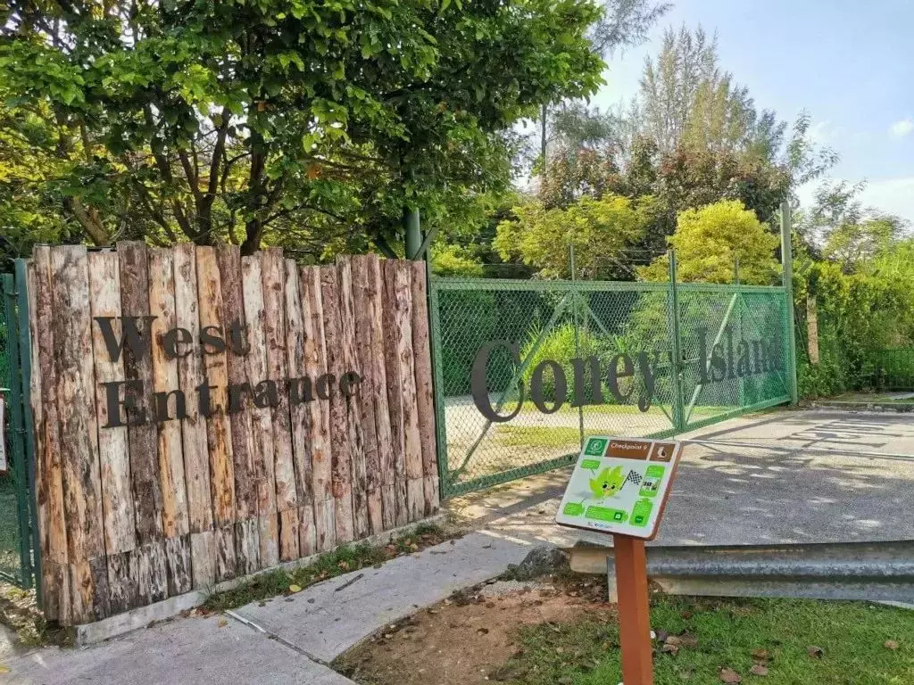 隐藏秘籍！新加坡26条远足路线：寻找长尾猕猴、红毛丹种植园，眺望最美海峡