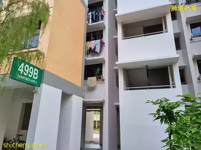 开门见屎! 楼梯口 一大坨