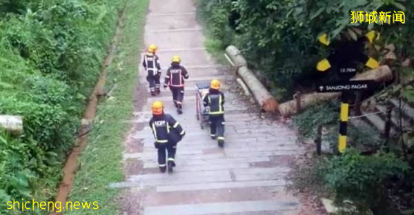 妇女骑脚踏车摔倒 惊动民防部队救援