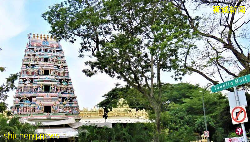 爱丽丝梦境、失乐园、无尾涧——新加坡老组屋区东陵福隐藏了哪些秘境?让老居民带你寻幽探秘