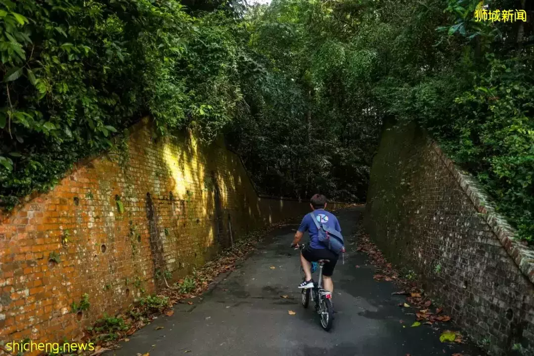 從新加坡市區至鄰裏,騎一趟時空交疊之旅