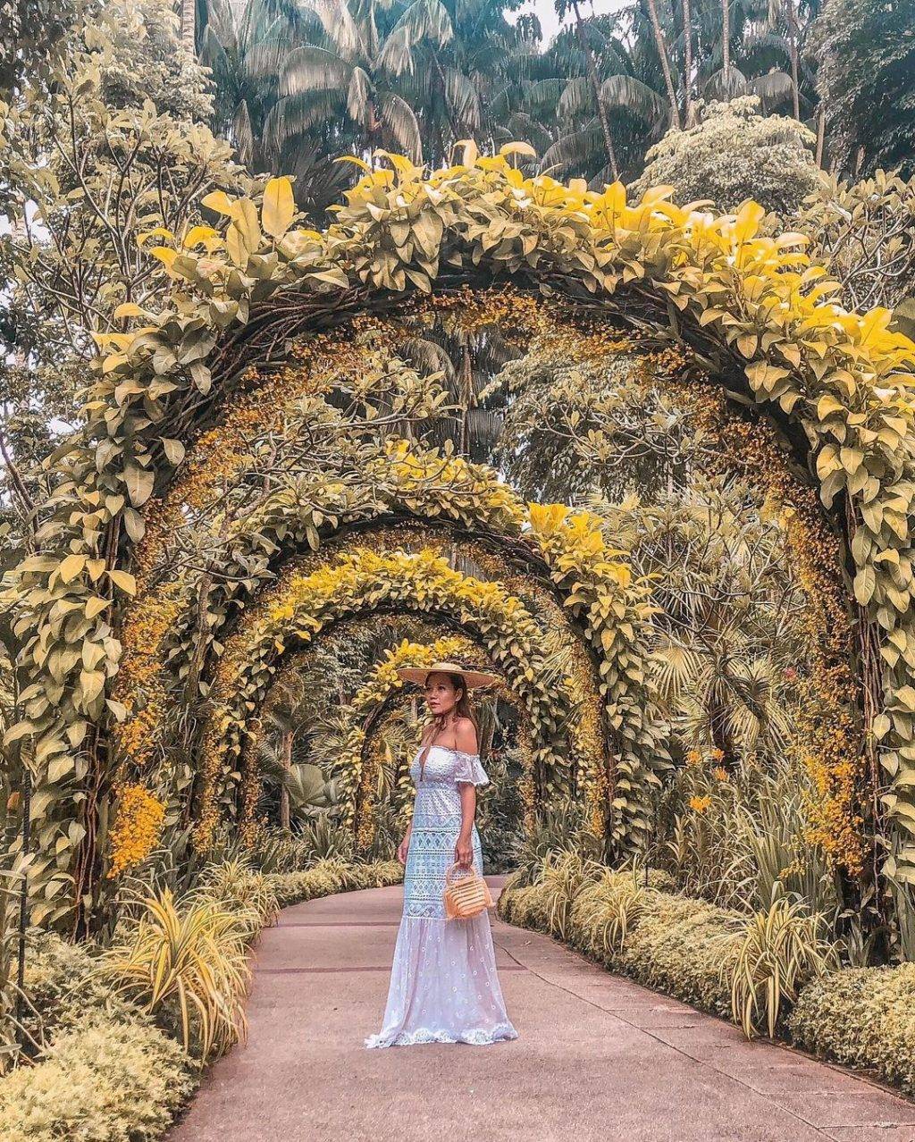 全新探索攻略💐“Botanic Garden”還可以這樣玩!唯美天鵝湖、奇妙曆險公園,解鎖新視野