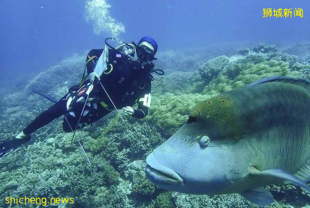 重磅!澳洲詹姆斯·库克大学获得QS五星级认证,其新加坡校区商学院也获得AACSB商业认证