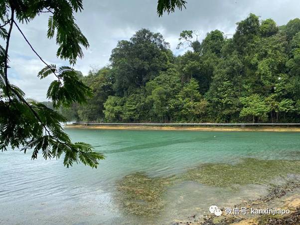 網友親測!新加坡十條經典徒步線路大推薦