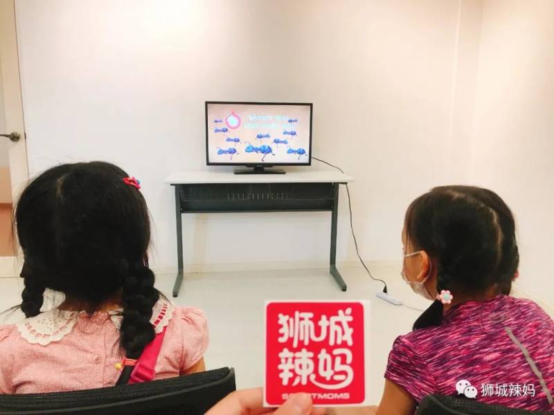 亞洲第一的螞蟻博物館居然在新加坡