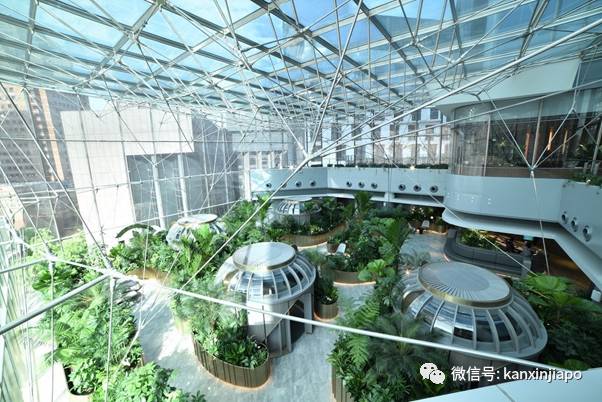 花旗银行无预警退出中国等13个市场!主力将专攻新加坡