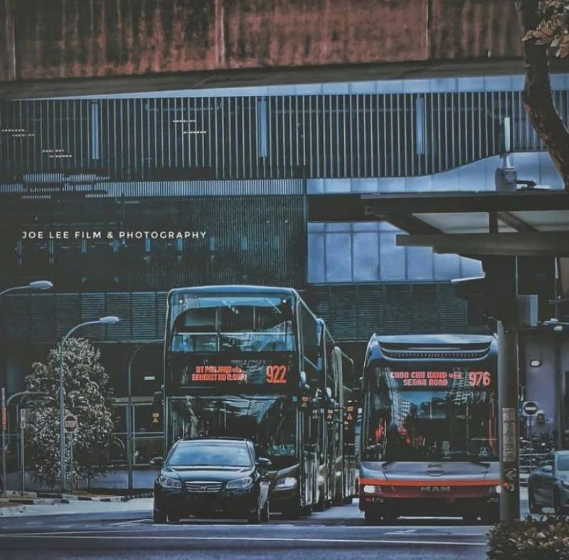 初來獅城的你，這幾個熱門“新加坡現象”不能不知道