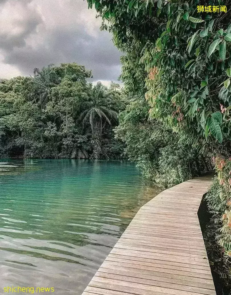 我勸你,千萬別來新加坡