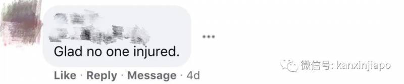 新加坡组屋楼下，6层楼高大树倒地，车辆挡风玻璃全碎