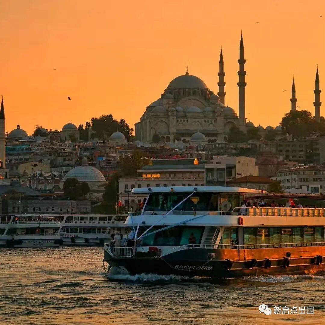 利好政策新鲜出炉,快来看看最受新加坡移民欢迎的项目吧