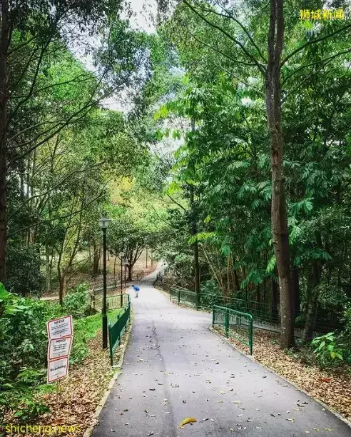玩在狮城 周末回归自然——为你搜罗坡岛那些最适合徒步欣赏美景的好去处