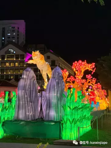 进入虎年开始倒计时,昨晚举行牛车水新年亮灯仪式