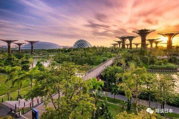 新加坡优势盘点