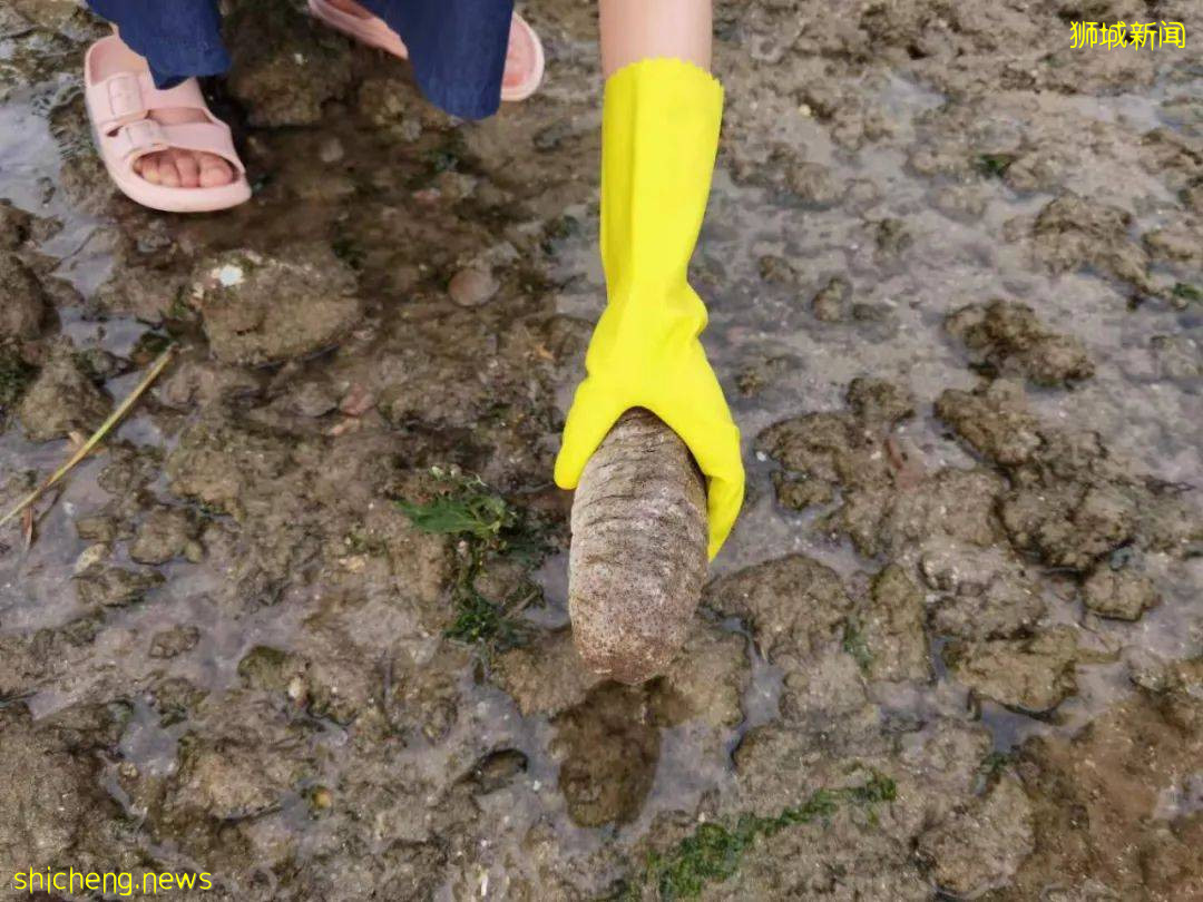 “我的两个儿子,就爱在新加坡捡垃圾!”