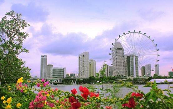 为什么越来越多的人选择在新加坡开公司