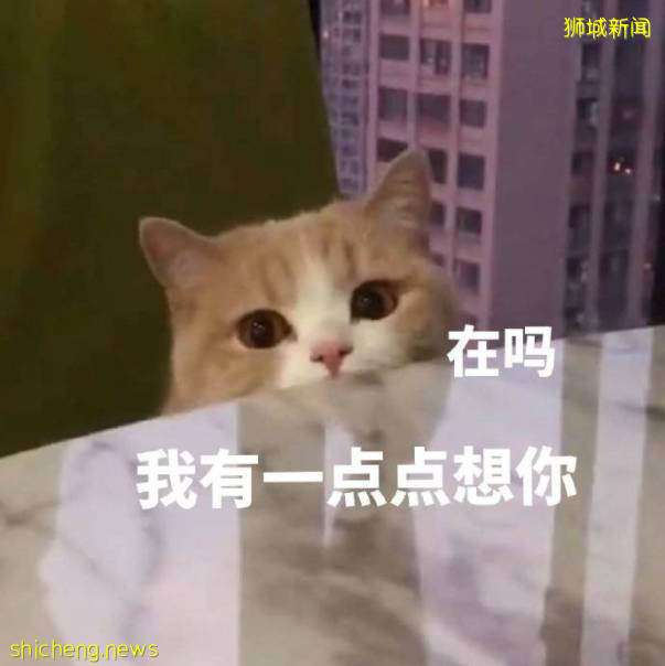 新加坡中秋节去哪里看灯？拿来吧你