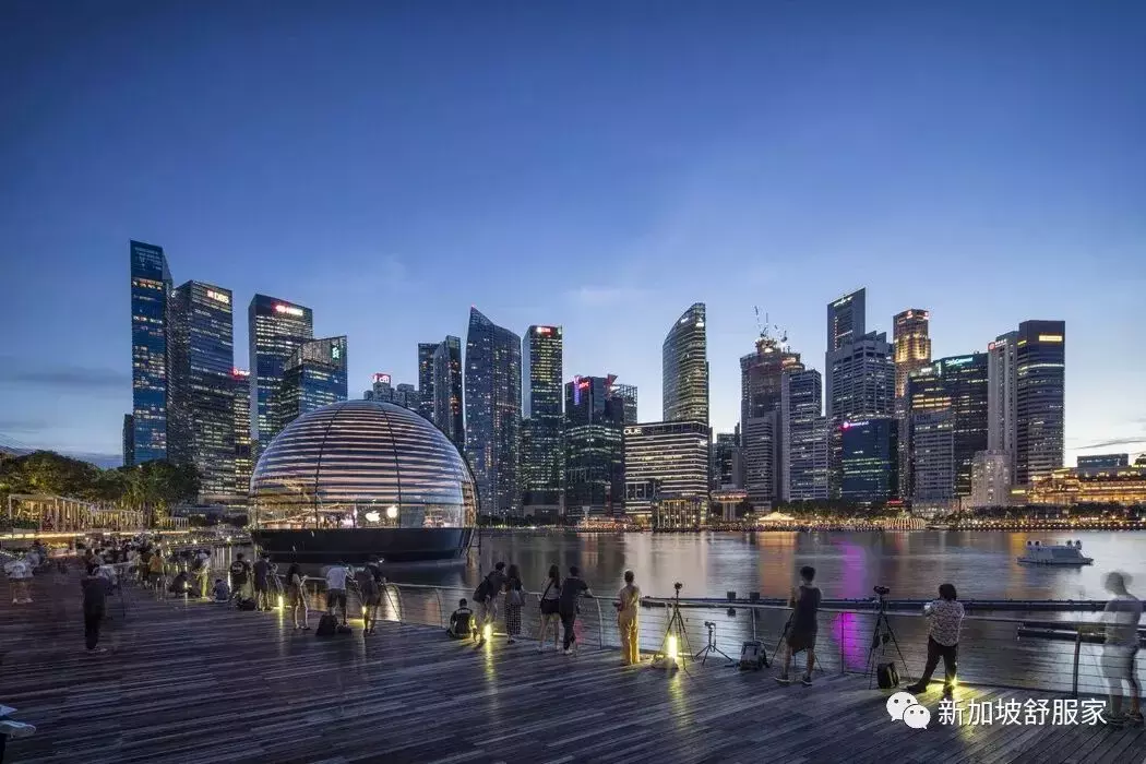 新加坡萊佛士女小“天才班”學區詳解