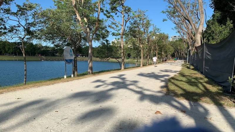 觀鳥、陡坡、嬉水、看夕陽,13條新加坡最美親子騎行路線