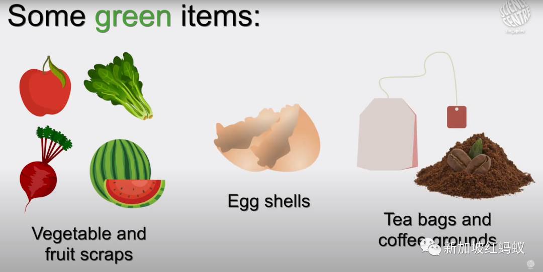 新加坡推广全民种菜,总理还在地球日教大家自制堆肥