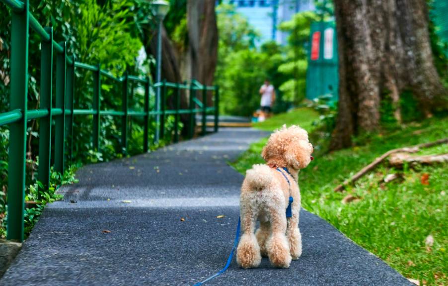 在CBD也可以擁抱綠色自然——細數新加坡那些鬧中取靜的Secret Garden