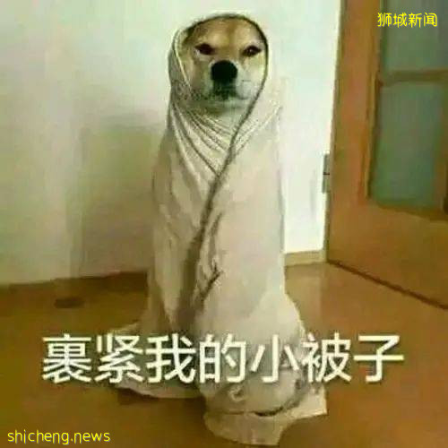 【每周折扣】叮咚！您有一份八月末新加坡吃喝玩樂指南待簽收