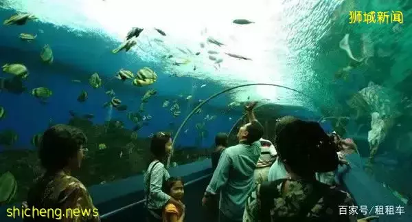 新加坡旅遊景點全收錄，看這份就足夠啦