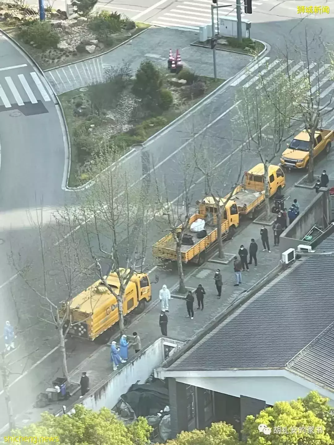 “从新加坡回到上海,封锁一再延长,我被卷入了这场前所未有的大事件”