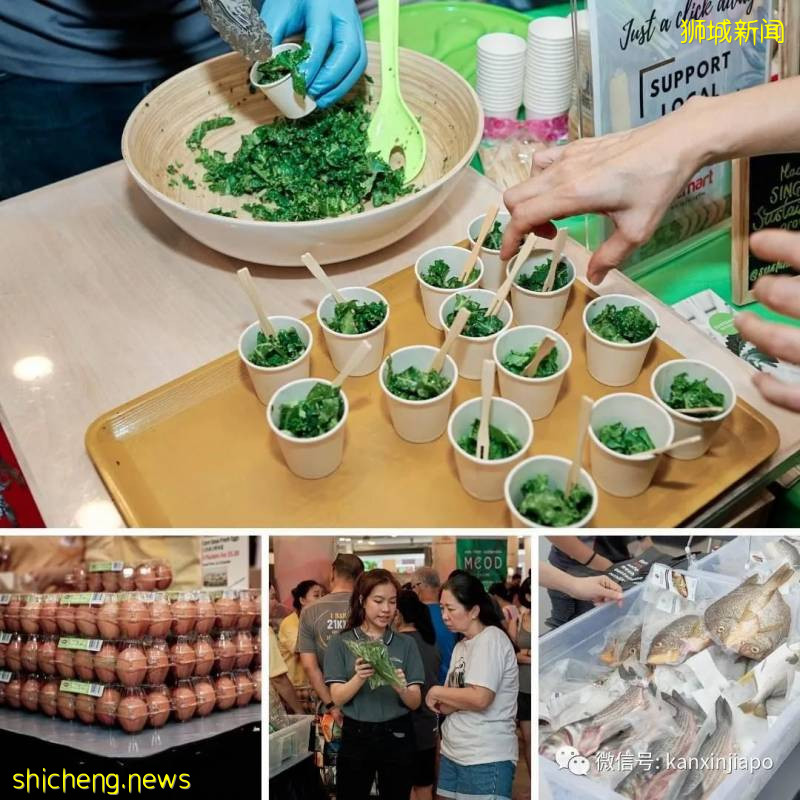 馬來西亞菜價漲40%至300%,新加坡菜價會漲嗎!