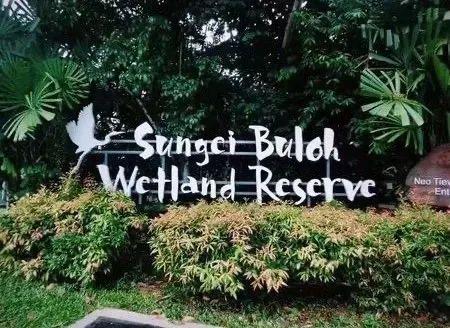 雙溪布洛濕地,讓疲憊的心靈得到釋放!