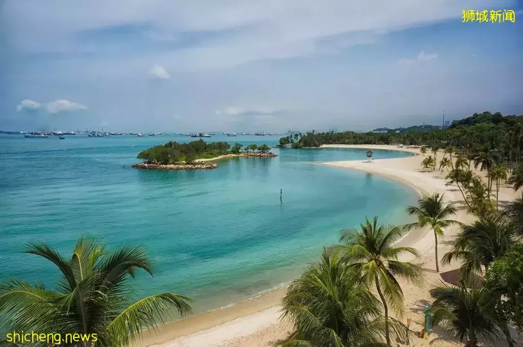 超美水边安静Cafe大盘点!美食美景我全都要