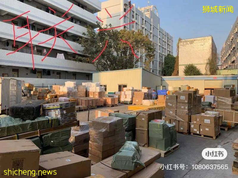 618必备!中国到新加坡海运物流,惊爆只要¥320每立方