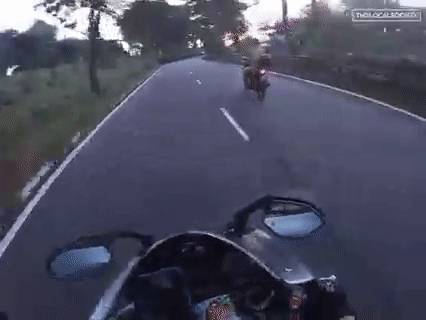 視頻曝光！新加坡這男子一天2次裸奔上街