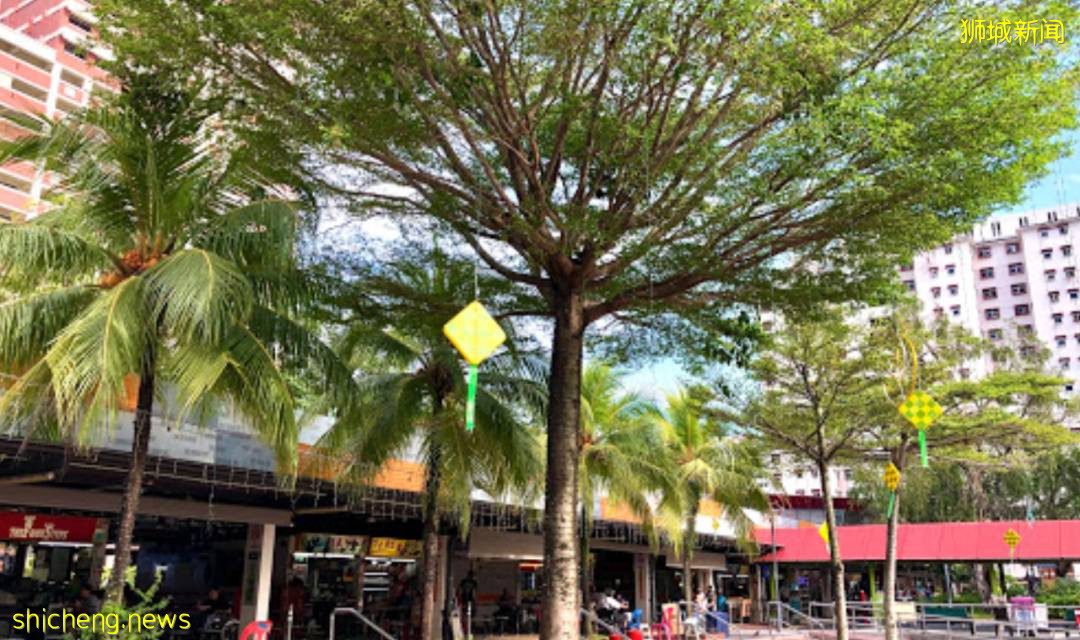 昨天晚上，新加坡衛生部更改社區病例數，減少3例！這是爲什麽