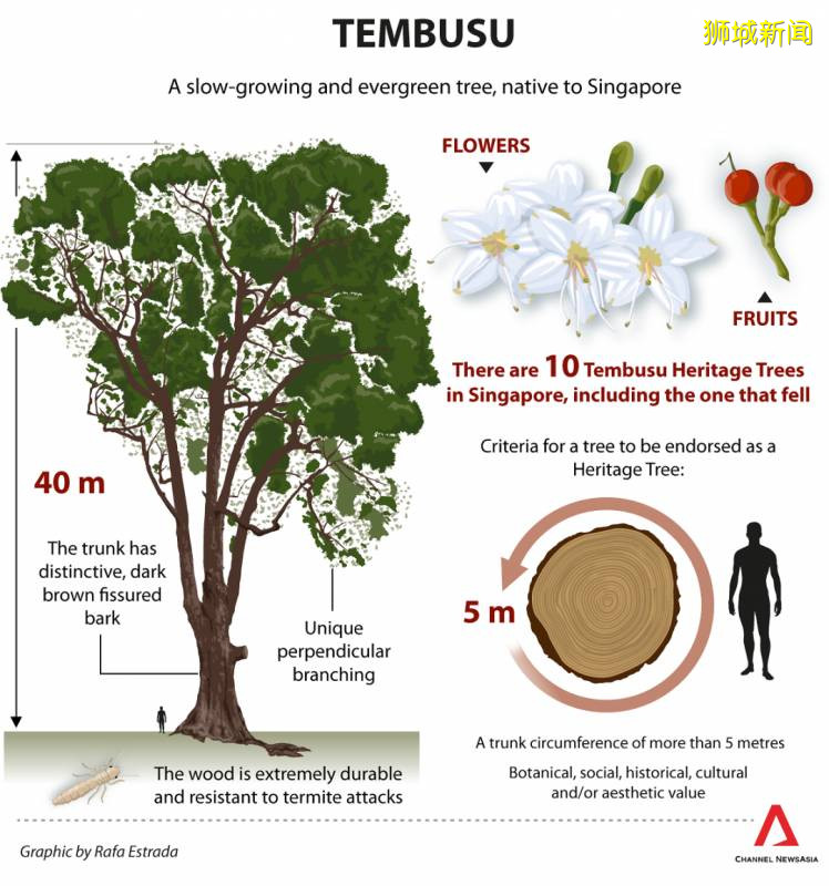 周末了,是時候環遊世界了,新加坡小桂林了解一下