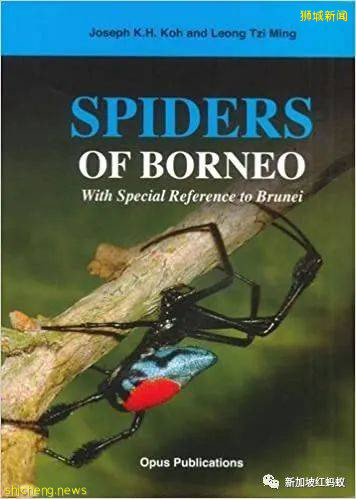 他是外交家也是昆蟲專家 新加坡的“蜘蛛俠”獲頒環境最高獎