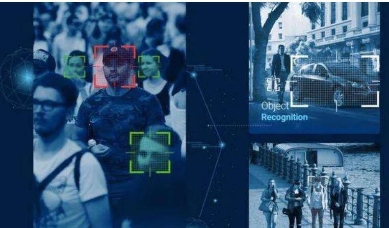 新加坡最贵疫情防控员又来圈粉,世界首富的宠物就是牛