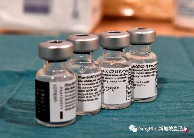 注意了！今年春節，新加坡或將收緊防疫措施